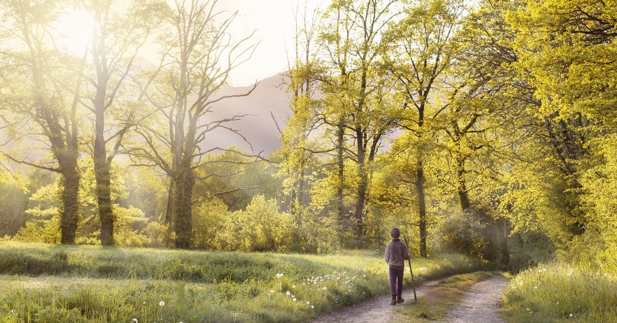 Person walking a peaceful outdoor path, taking a slow breath